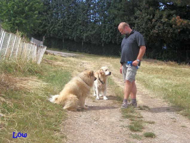 Juli 2007: Standpauke